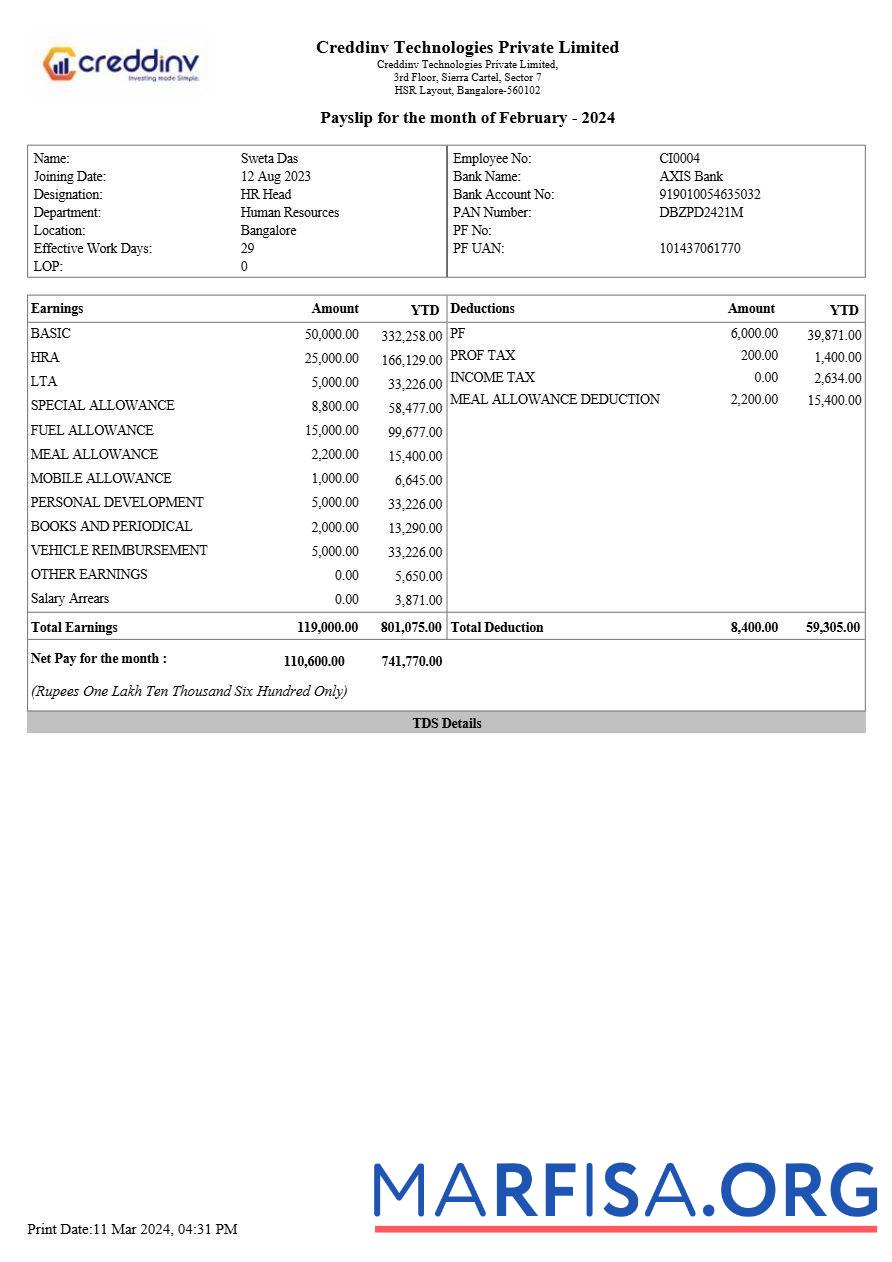 Realistic Creddinv Technologies payslip template